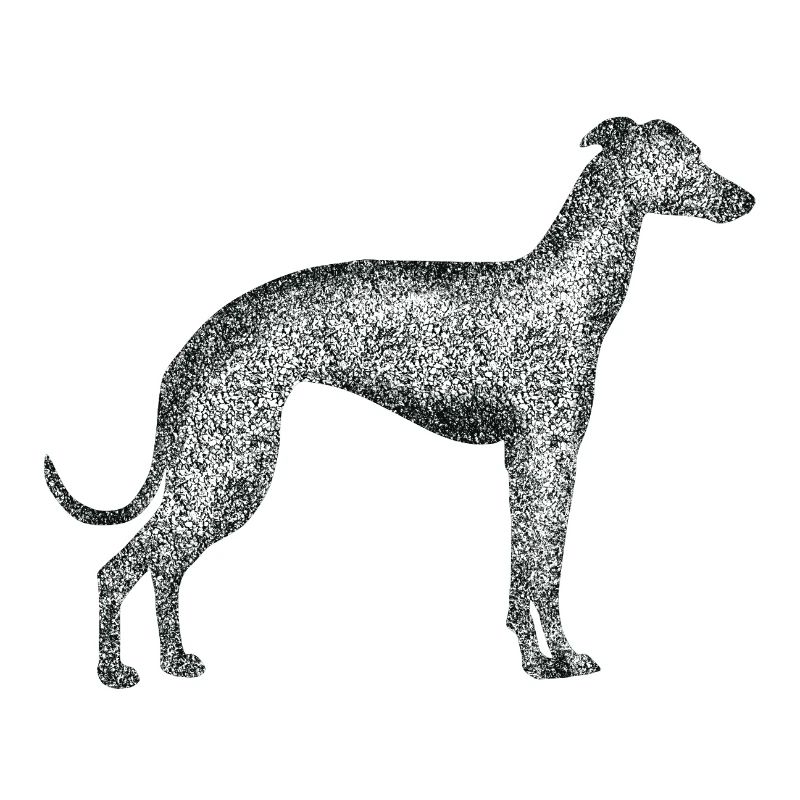 Black White Greyhound