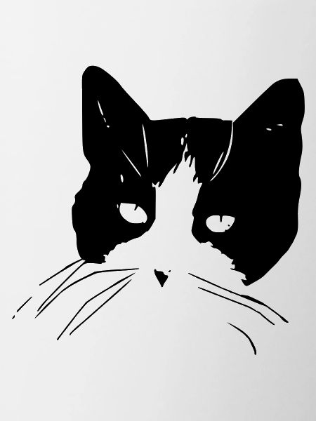 Katzengesicht