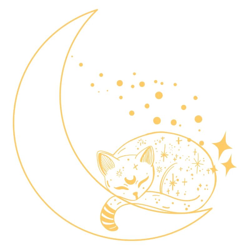 cat in the moon shining