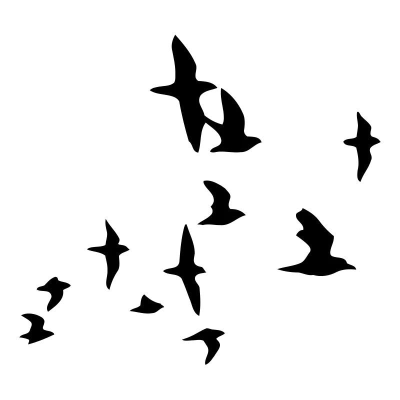 bluearc - birds