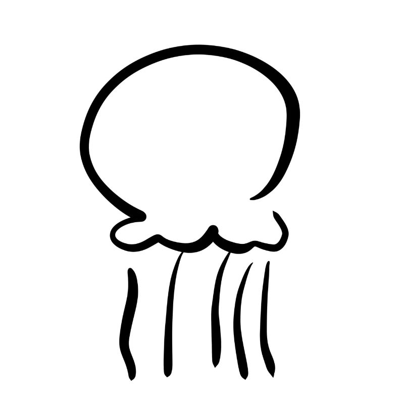 jellyfish jellyfish