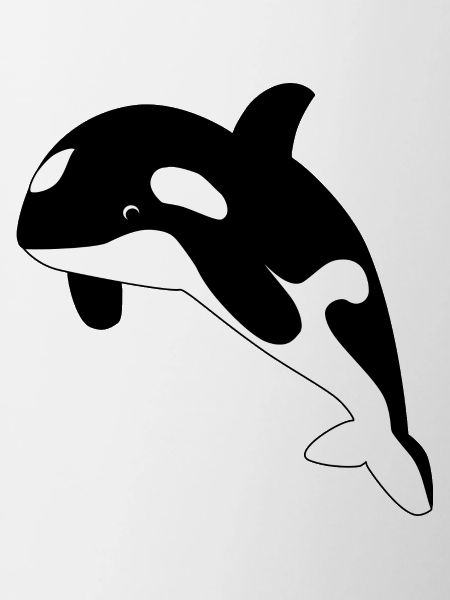 Orca / Killer Whale