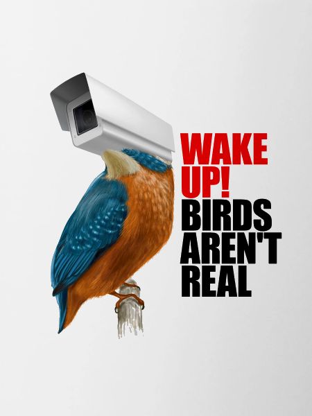 birds aren't real