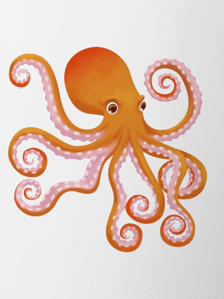 Octopus Octopus