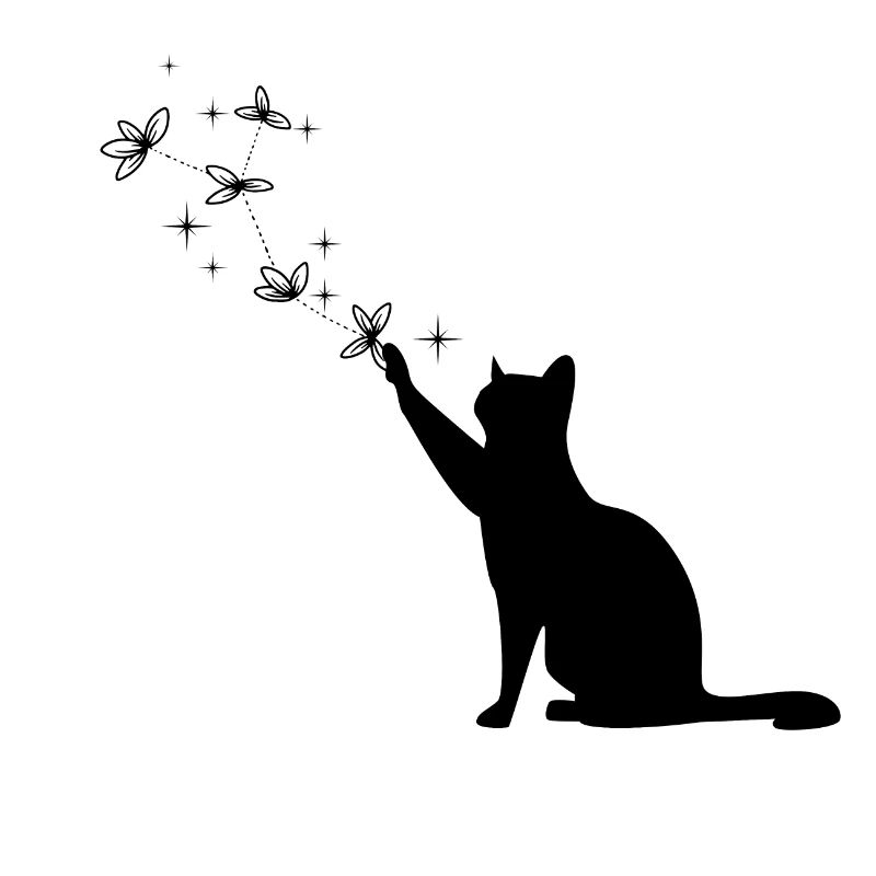 Chat magique étoilé