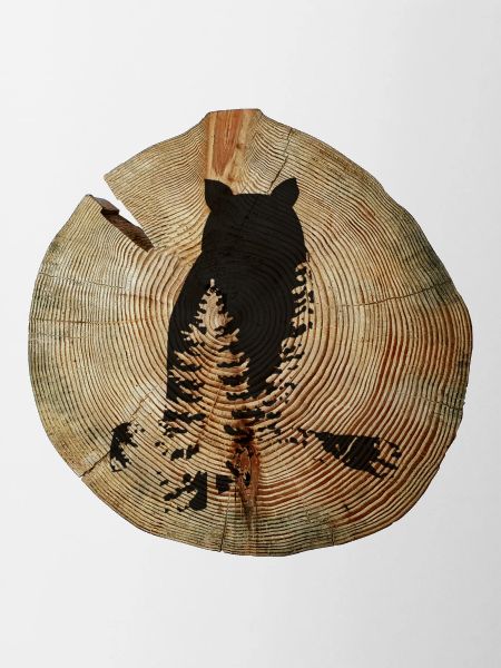 Tree Disc Owl
