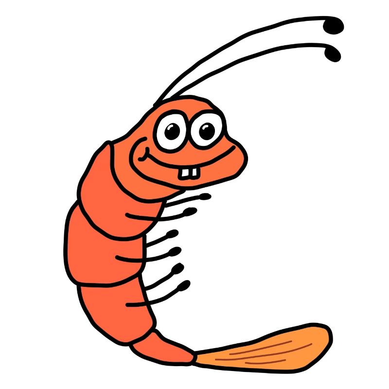 Shrimp