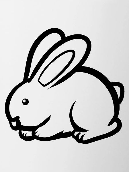 Cool Rabbit
