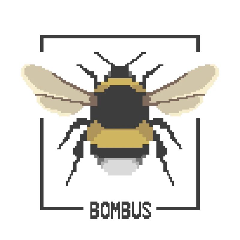 Hummel – Bombus
