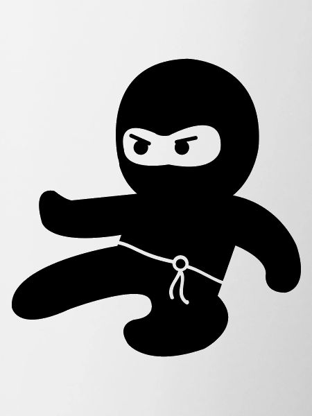 Ninja