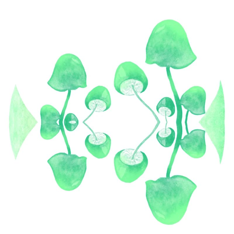 Mushroom Fluorescent Paint Green Mirror