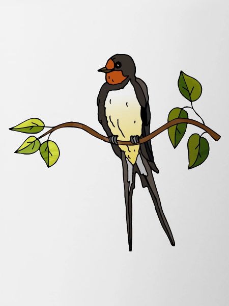Vogel