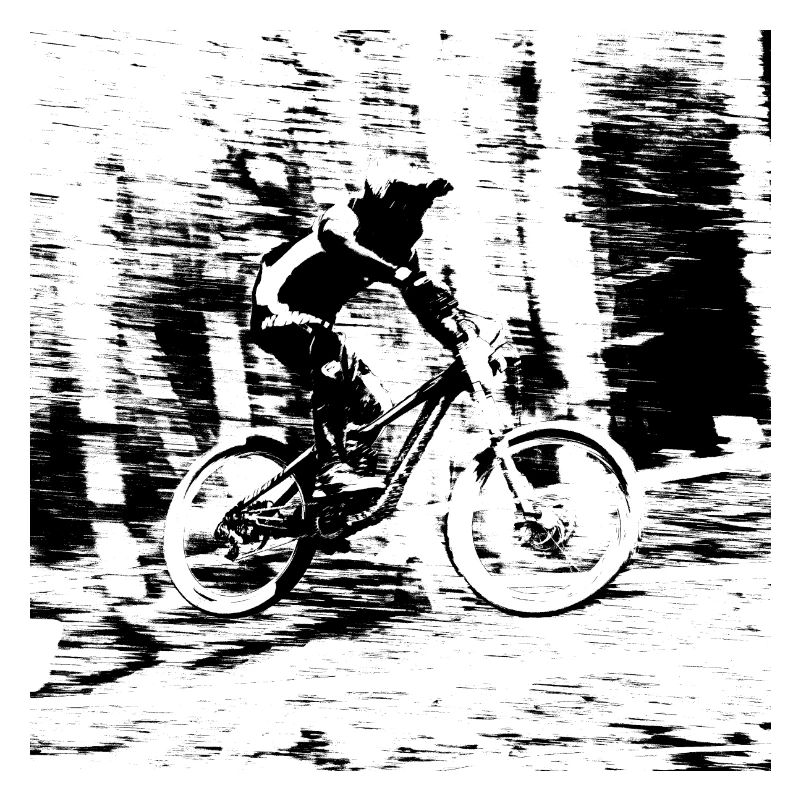 vtt mtb downhill