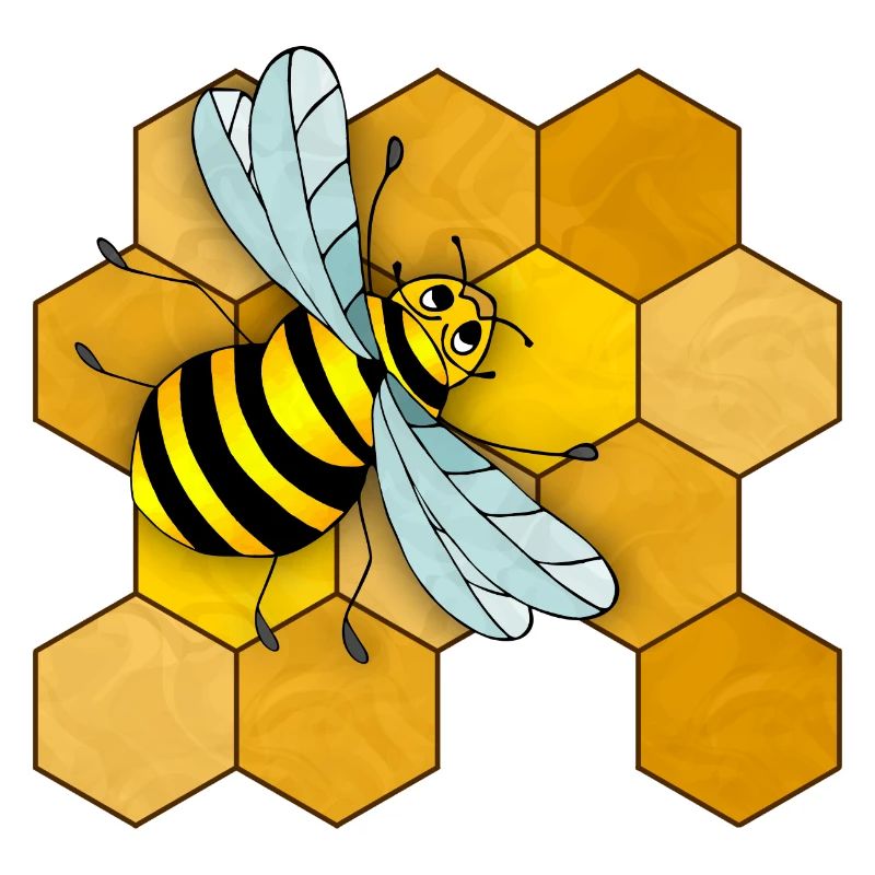 Insect