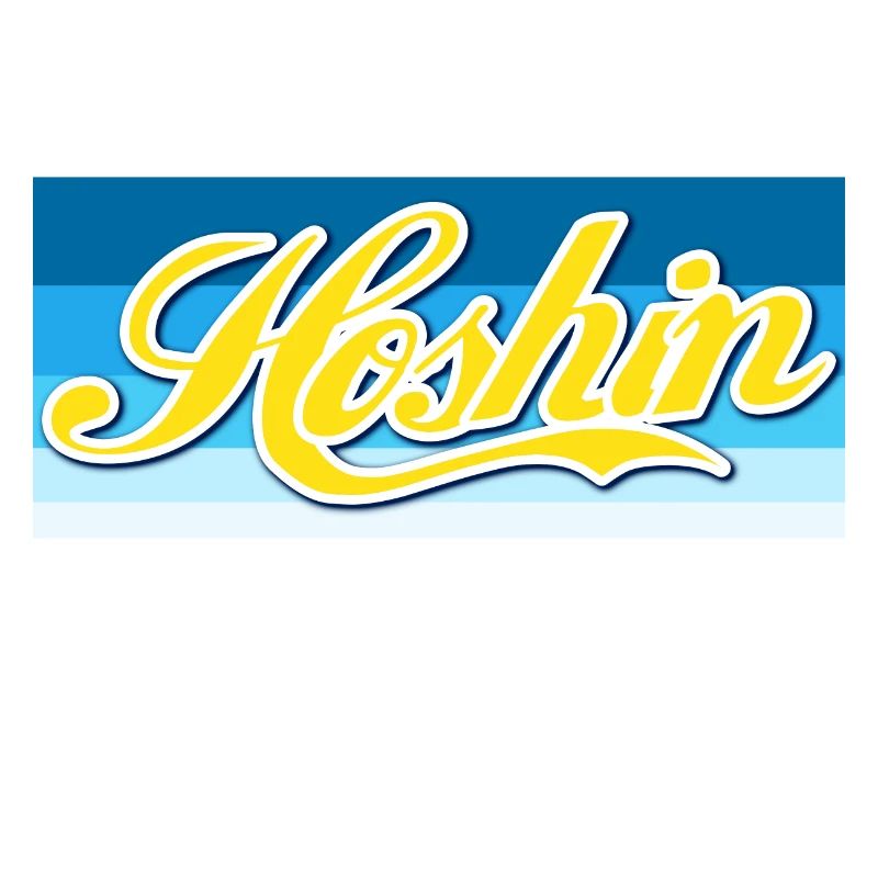 Hoshin Compass Stylish Gift - Retro Design