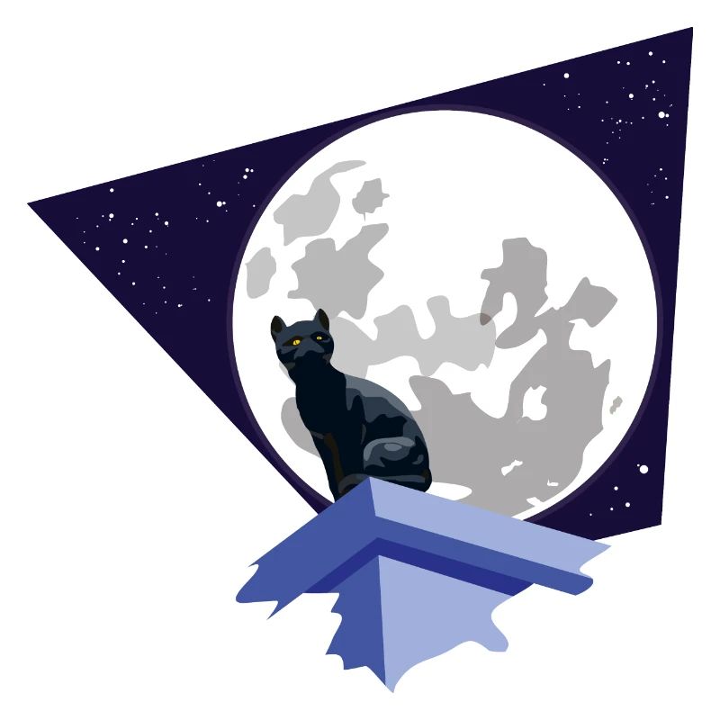 Black cat under the moon
