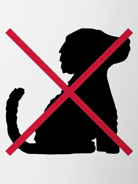 No Dogs Symbol Shield