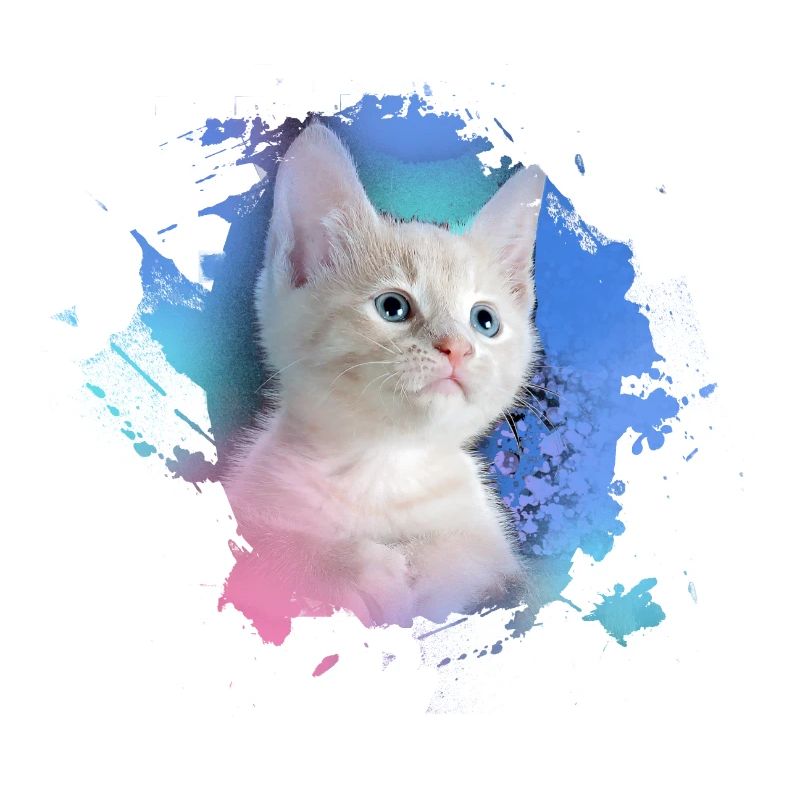 kitten,cat,kitten,graffiti,painting,pink