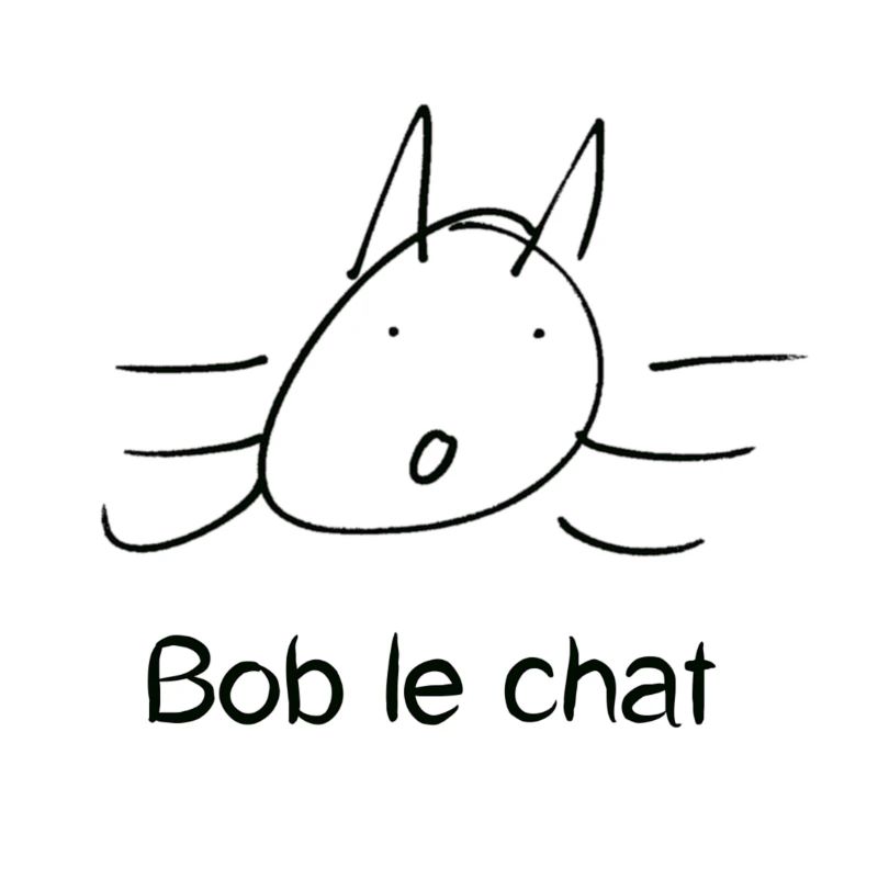 Bob le chat