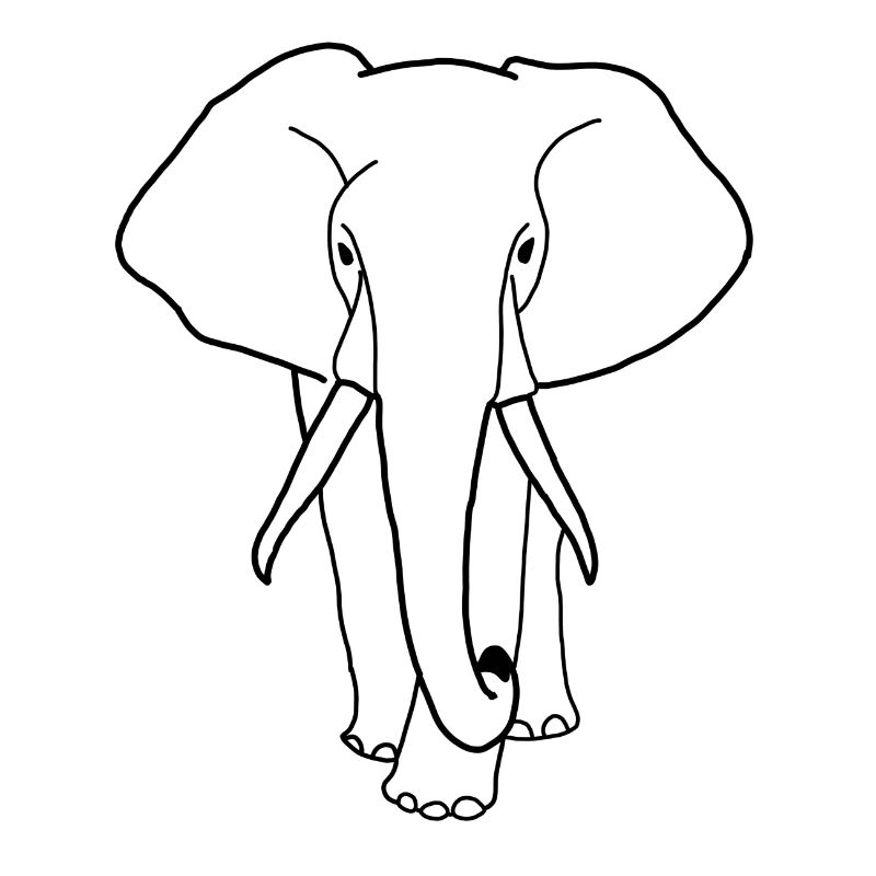 Éléphant
