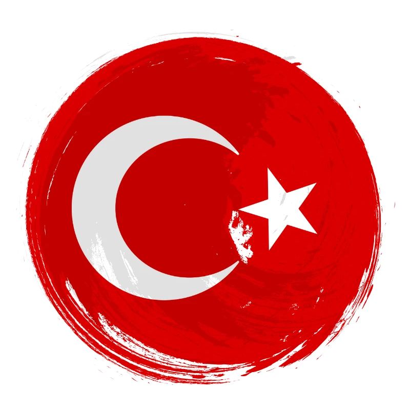 Drapeau de Turquie Utilisé Look Drapeau Turc Vintage