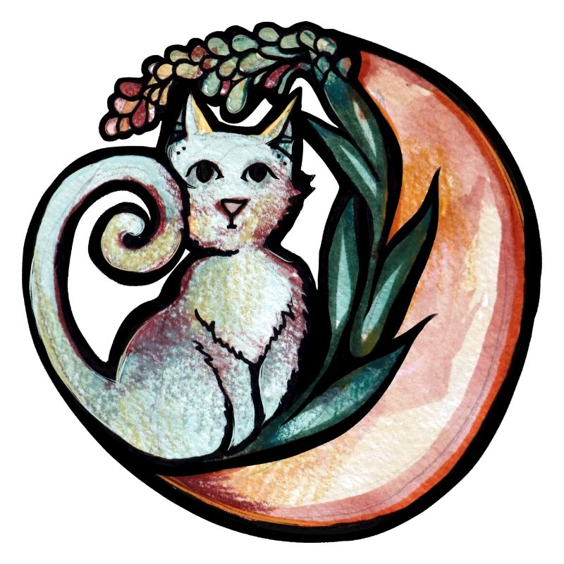 Lune Nature Chat