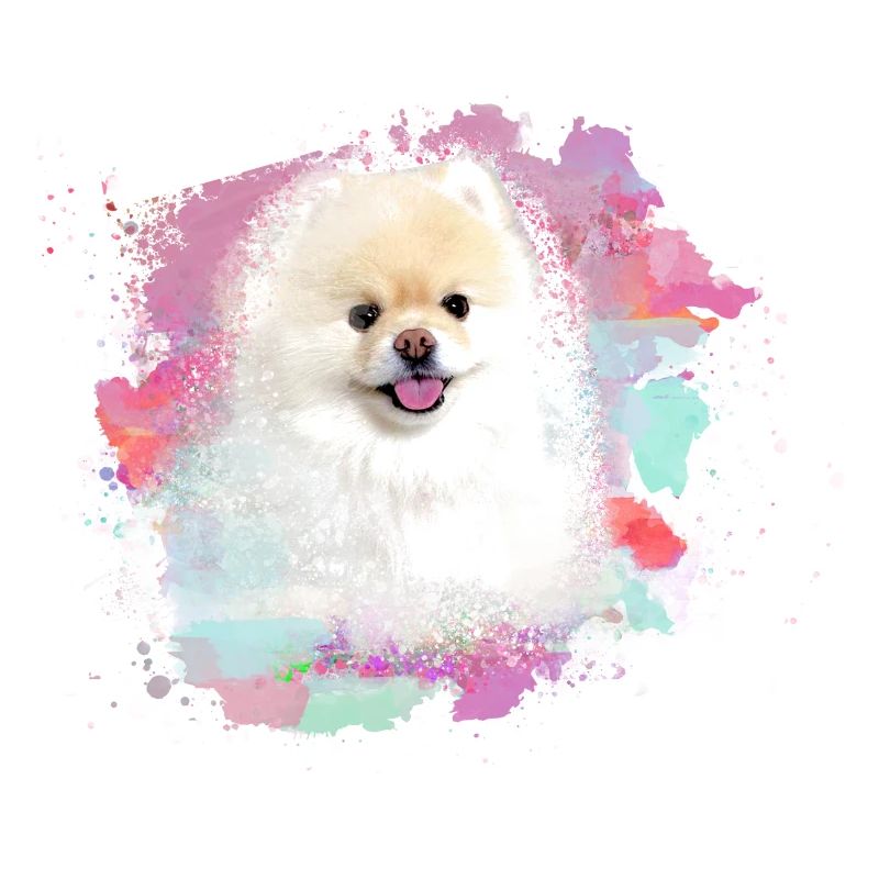 pomerian,zwergspitz ,spitz,hund, Graffiti ,Malerei