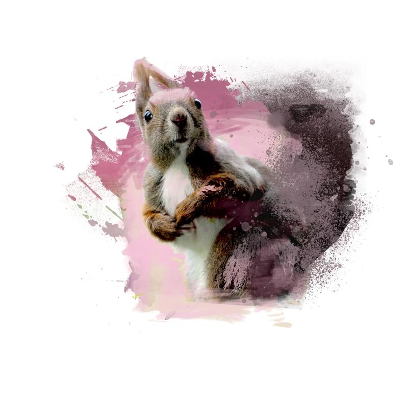 Squirrels, colorful, painting, graffiti, squirrels,
