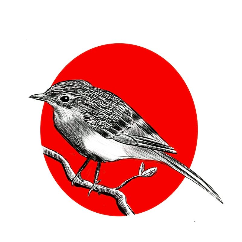 bird