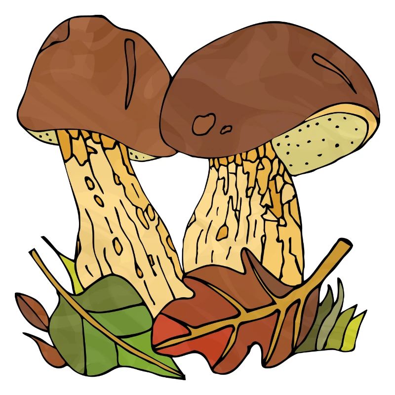 Fungi