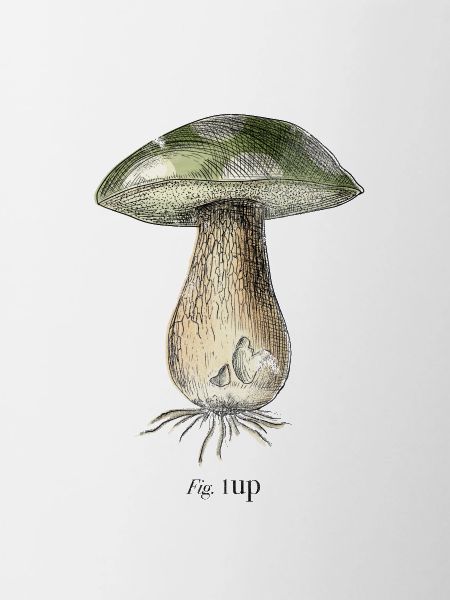 1Up