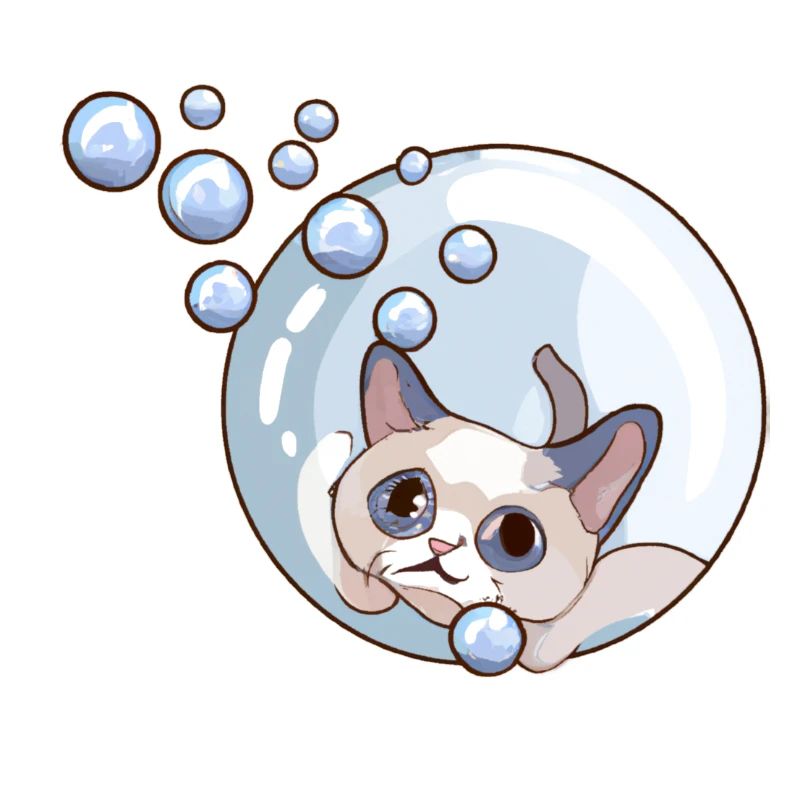 Seifenblasen Katze