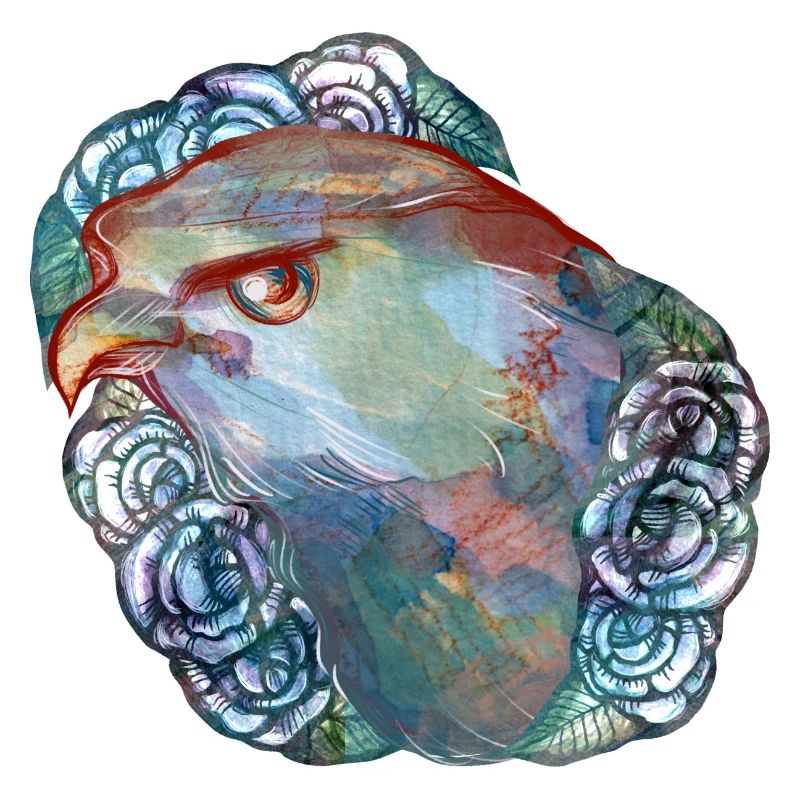 Rapace