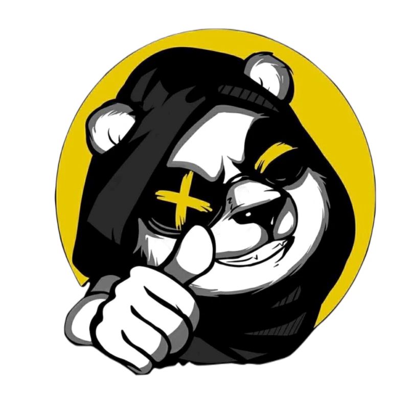 Ours et panda