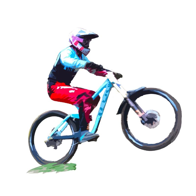 vtt mtb downhill
