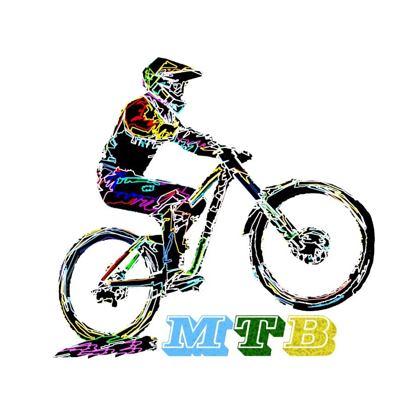 mtb vtt descente