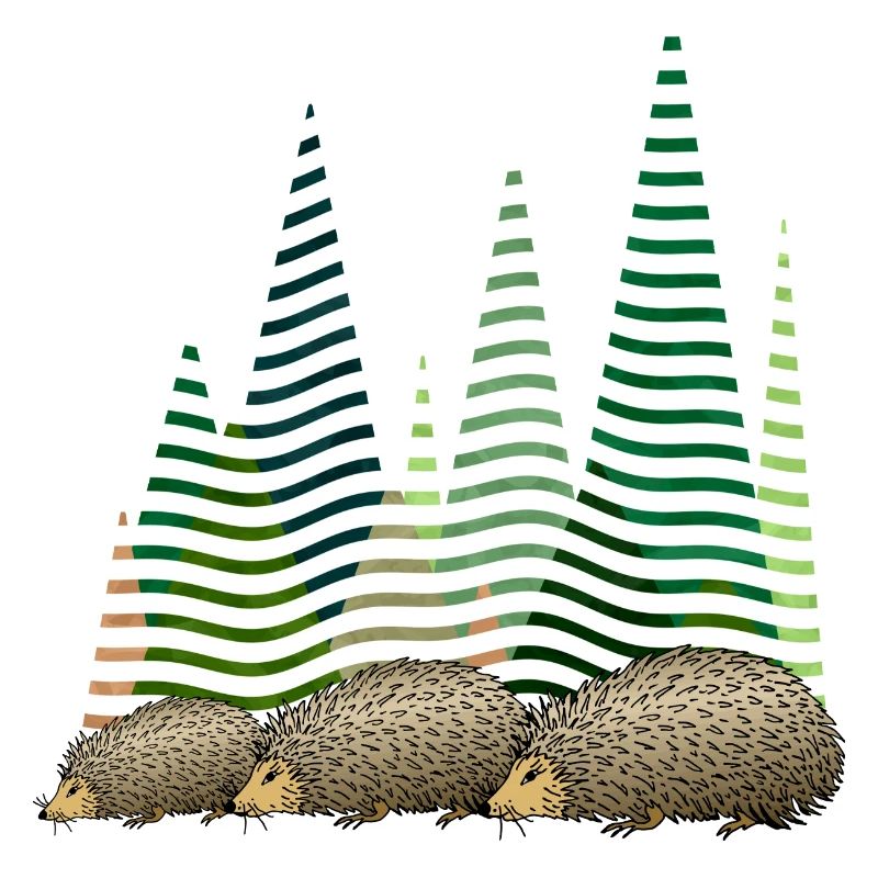 Hedgehogs
