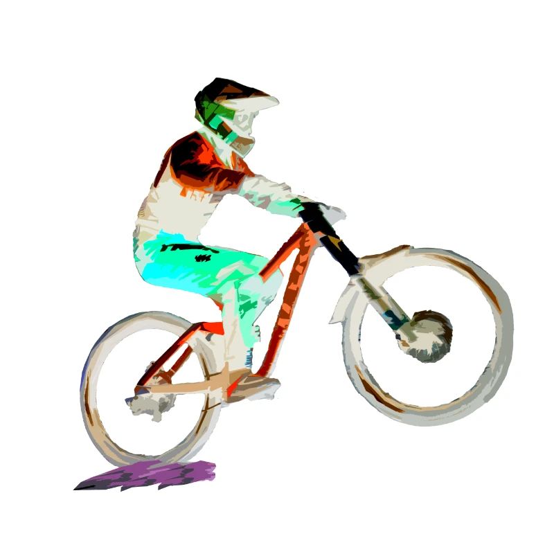 vtt mtb downhill
