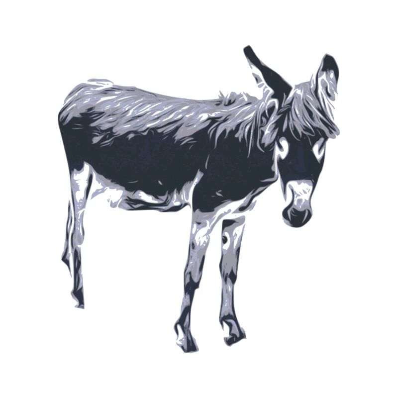 donkey