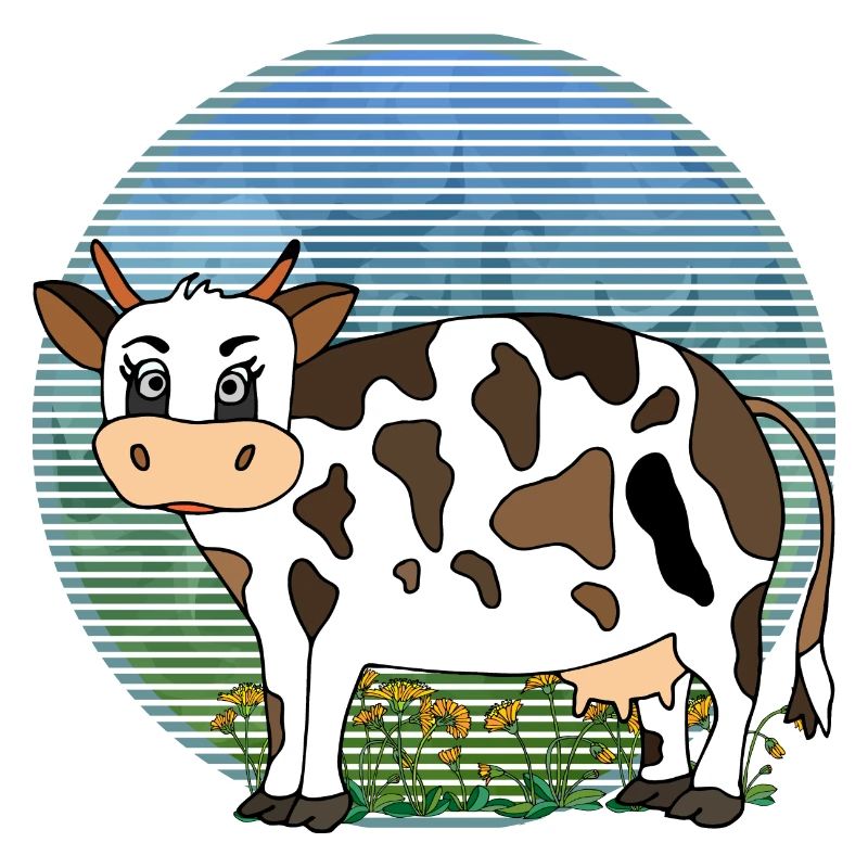 Vache