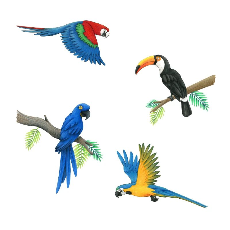 Perroquets colorés
