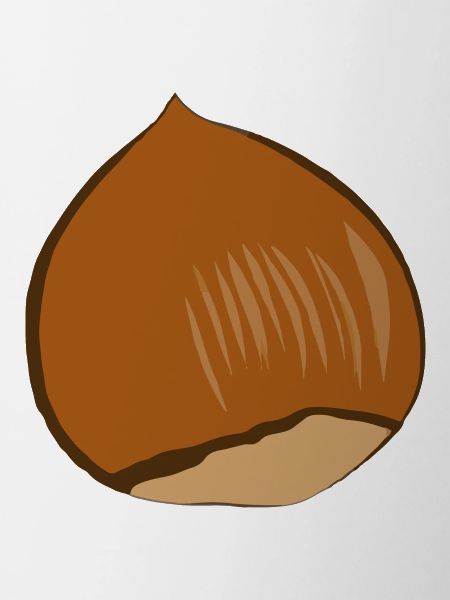 Hazelnut