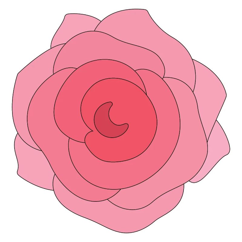 Belle Rose