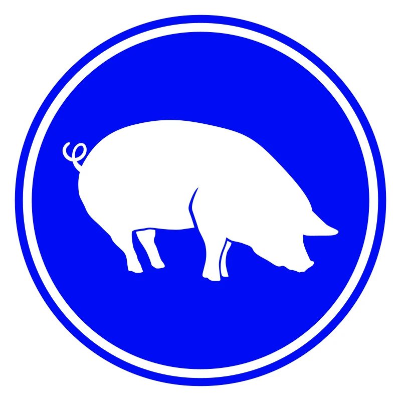 Schwein Tier