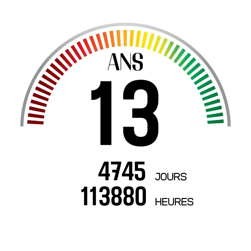 Anniversaire 13 ans Compteur