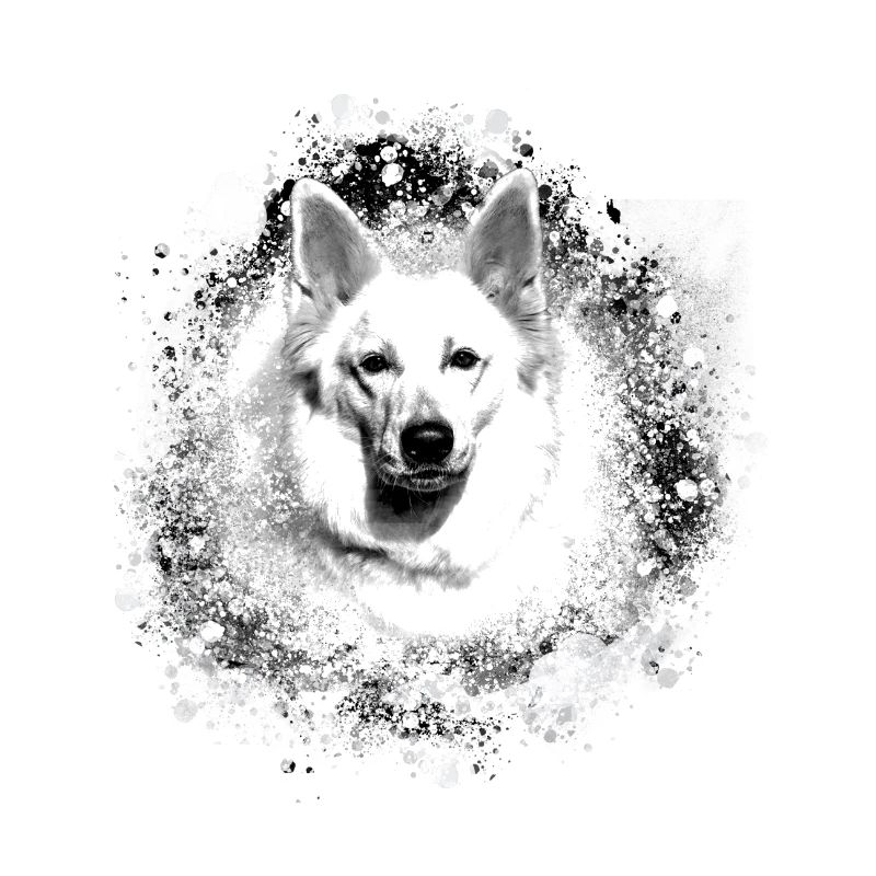 white shepherd , shepherd dog , white , dog