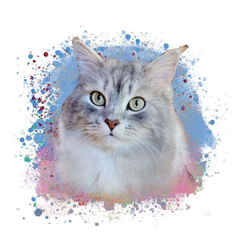 Chat sibérien, graffiti, peinture, chat