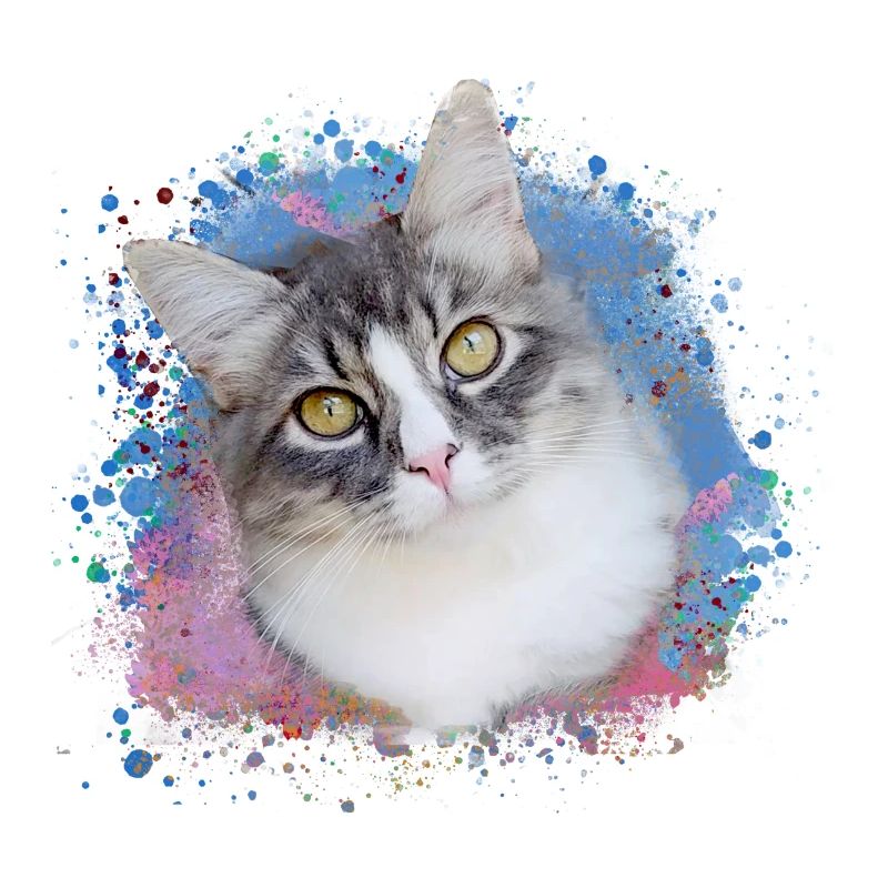 katze, bunt,aquarell, kunst,malerei,graffiti,gelb