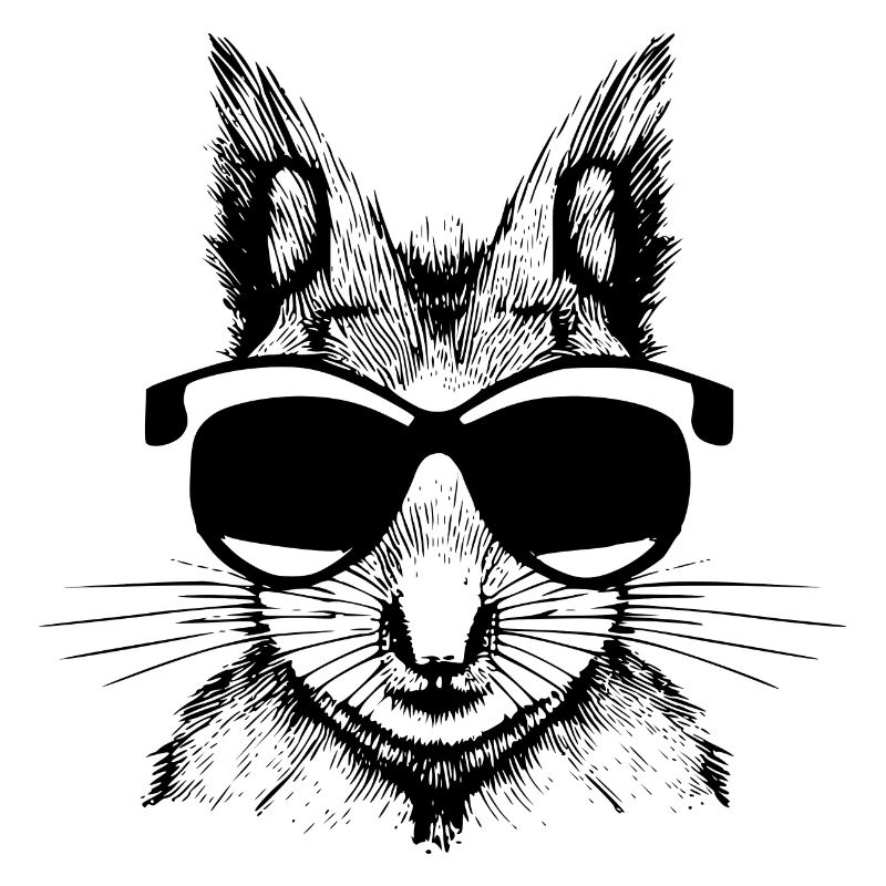Eichhörnchen Sonnenbrille Tier süß lustig cool 03