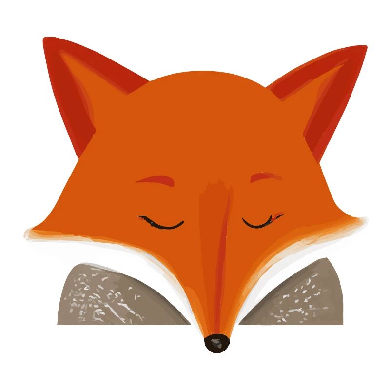 Sleeping Fox Sleeping Shirt Fox Lover